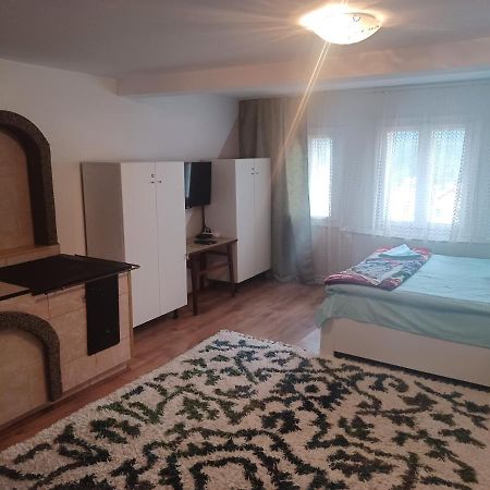 Casa Bucovina Dorna Candrenilor Ascutitele ภายนอก รูปภาพ