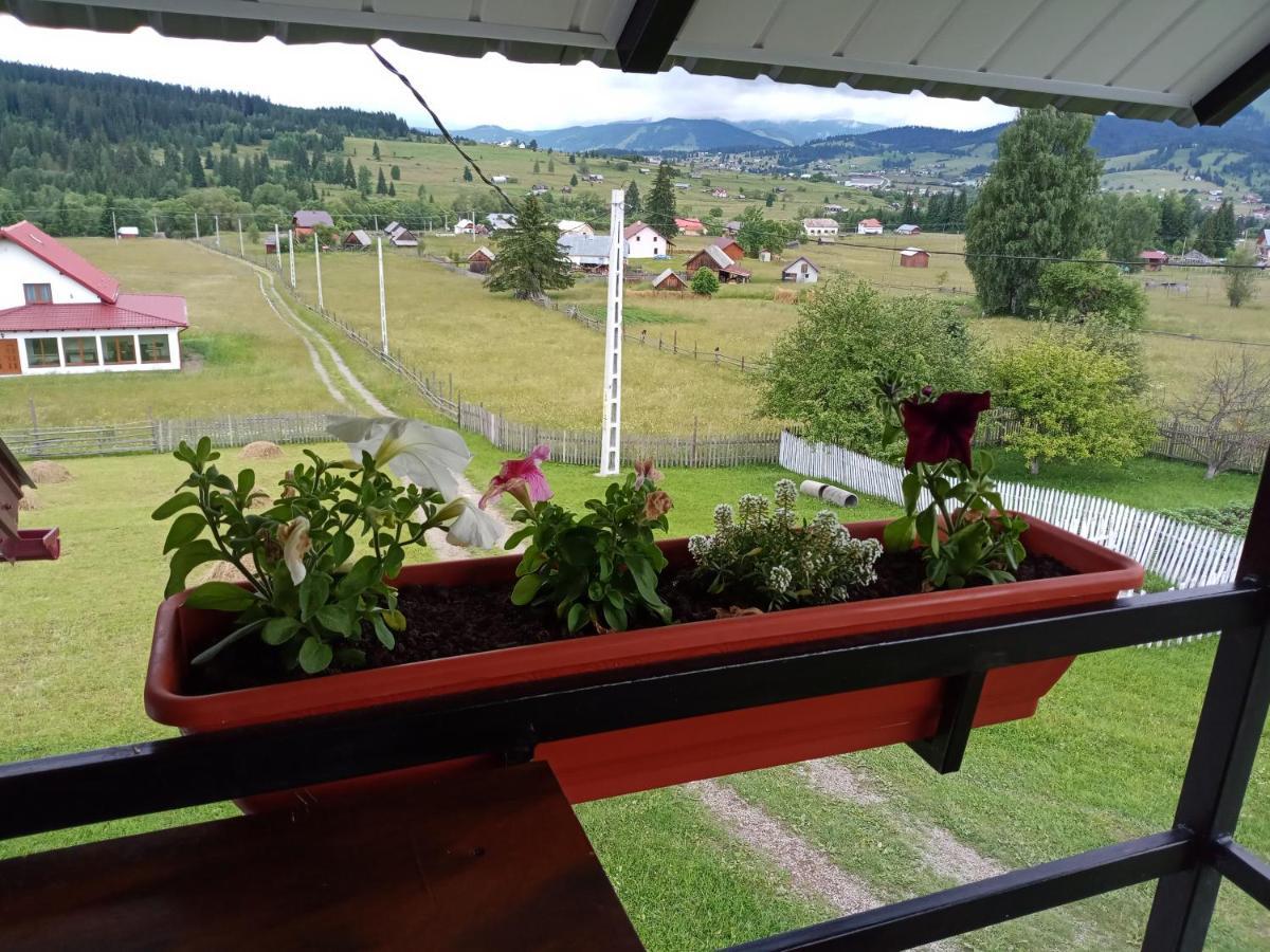 Casa Bucovina Dorna Candrenilor Ascutitele ภายนอก รูปภาพ