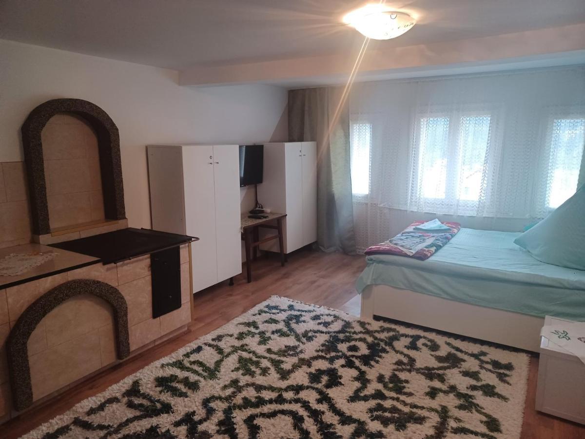 Casa Bucovina Dorna Candrenilor Ascutitele ภายนอก รูปภาพ
